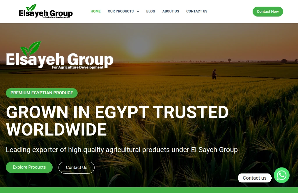 Elsayehgroup